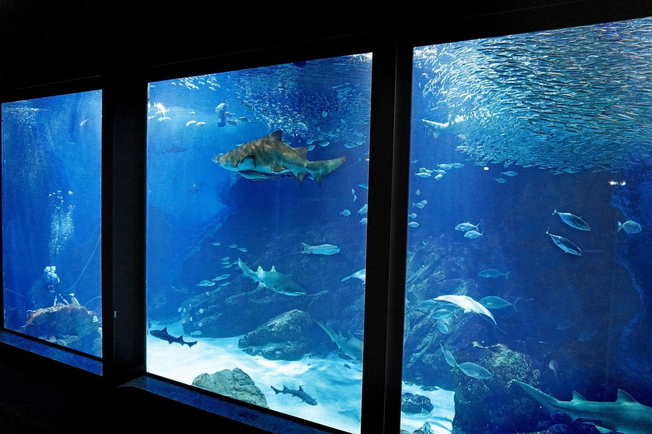 🐬 마린월드 우미노나카미치 이미지 4